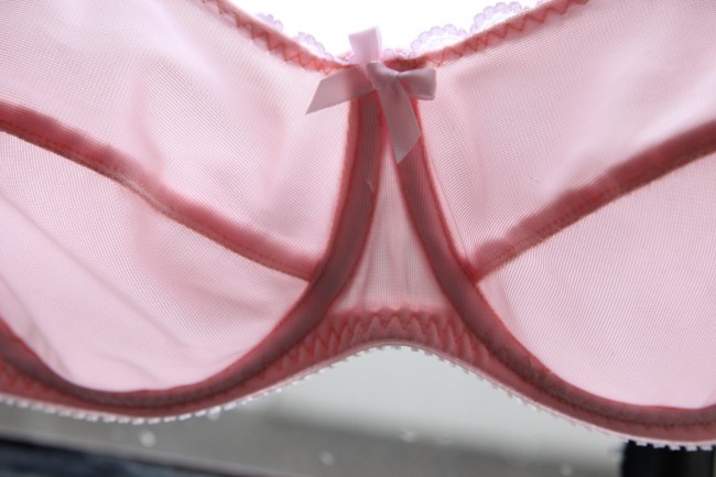 The Sewing Lawyer: What else have I made? Bras!